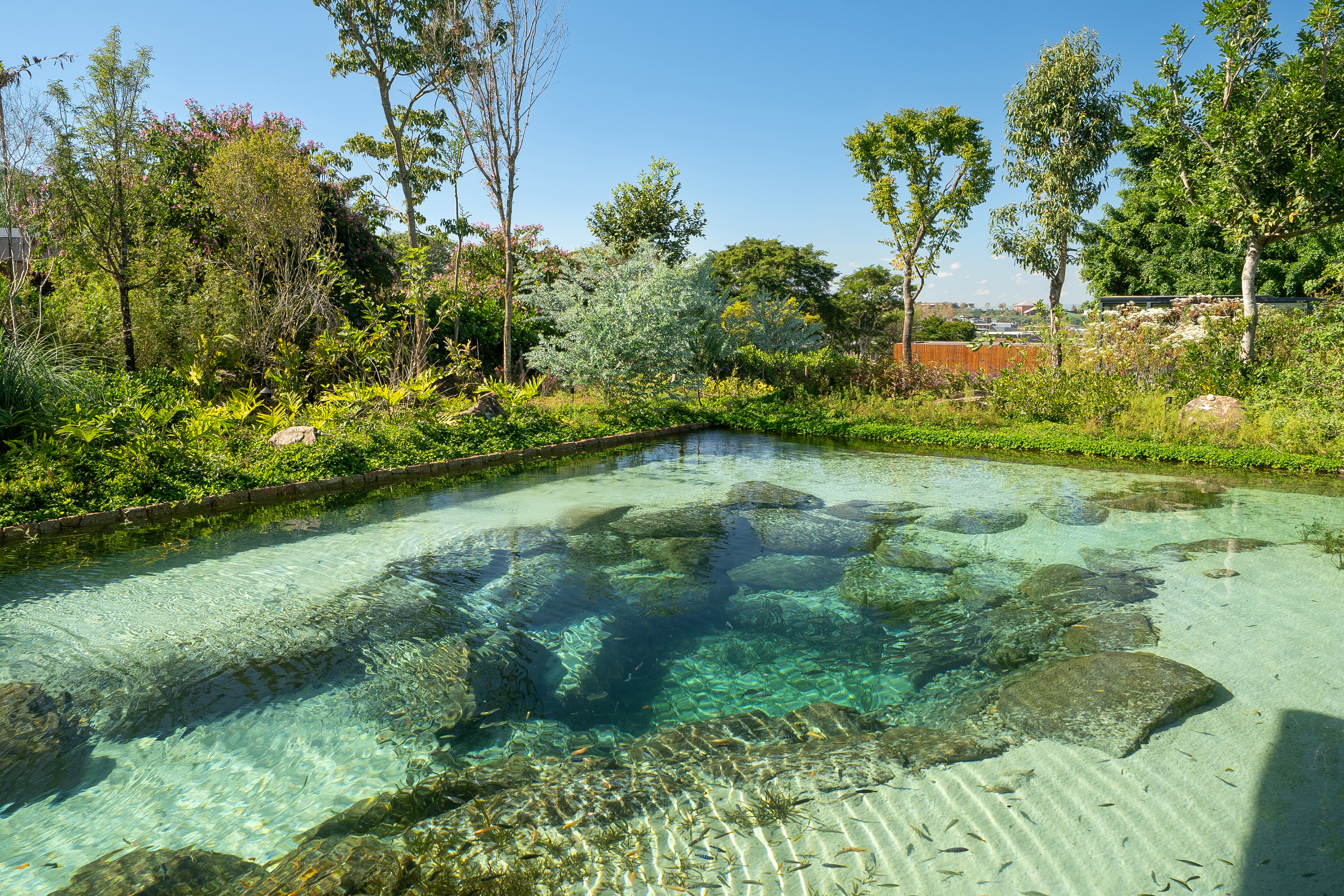 Ornamental Lakes & Pools